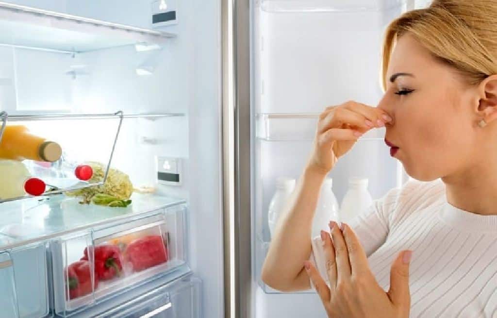 bad fridge smell